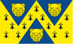 Shropshire Table Flags